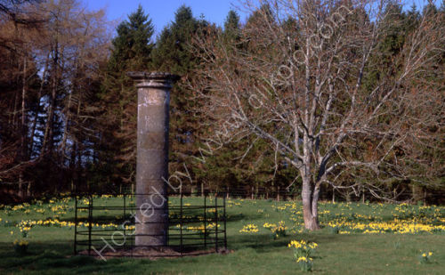 The Jougs,
Fochabers.